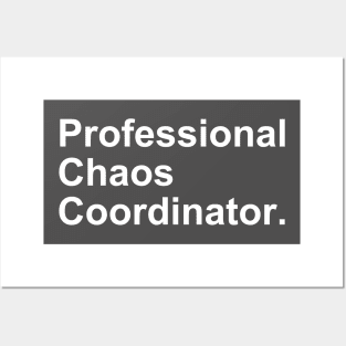 Professional Chaos Coordinator Funny Gift Posters and Art